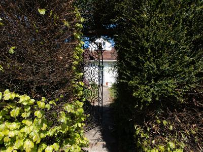 Picture 22